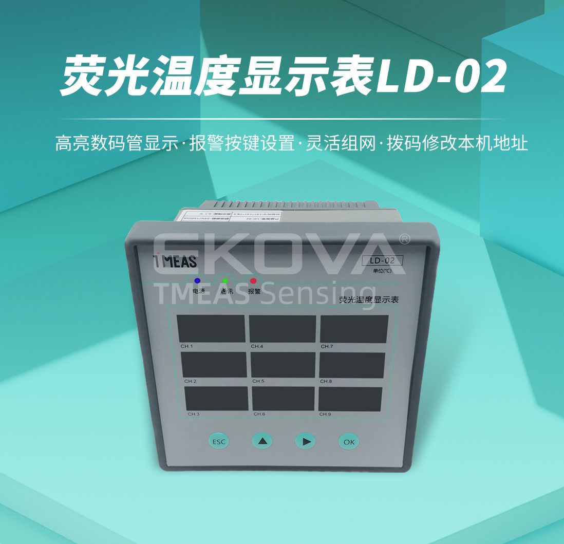 熒光溫度顯示表LD-02